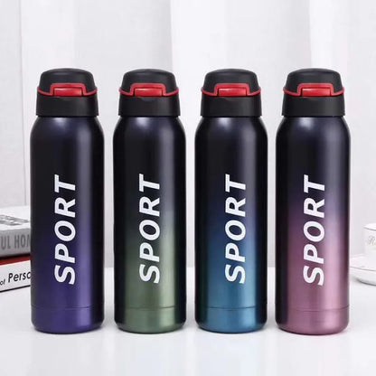 Stainless Steel Double Wall Vacuum Flask 500ml with Straw